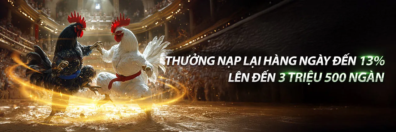 Đá Gà Trực Tuyến Hấp Dẫn tại 23win1